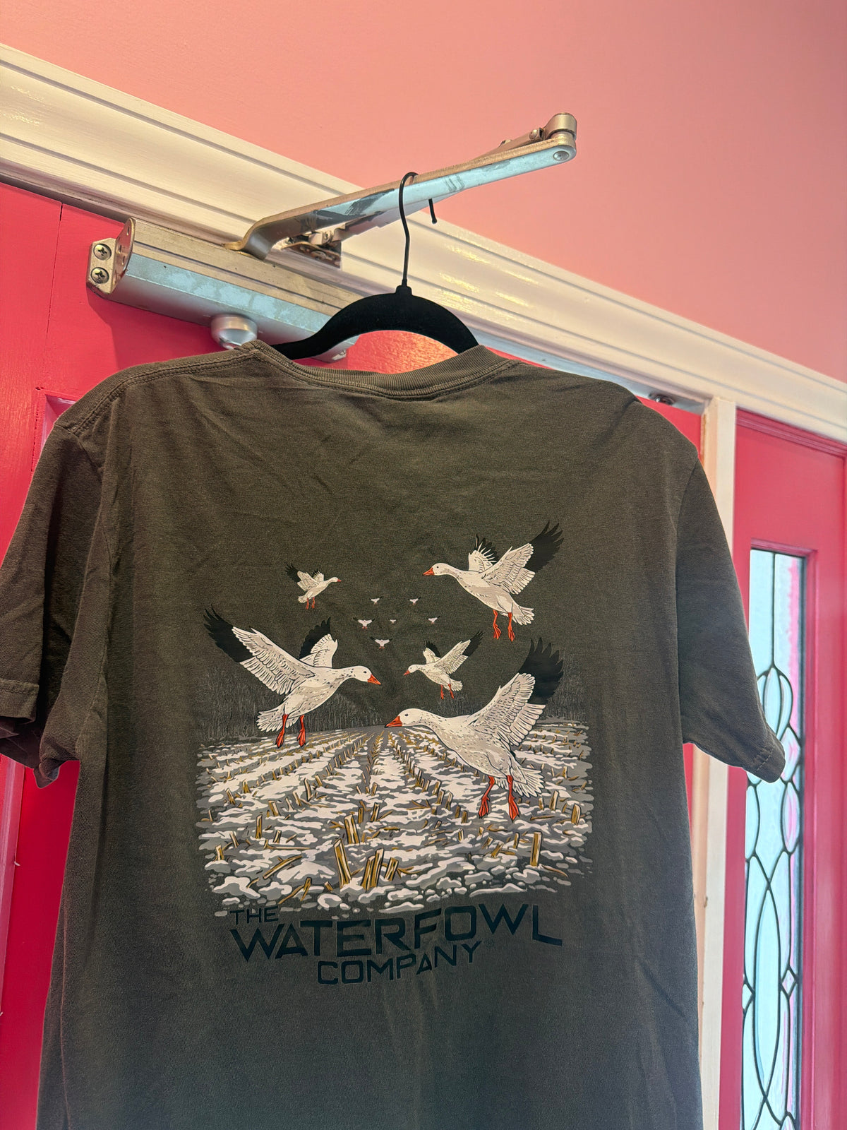 SNOW GOOSE FEED