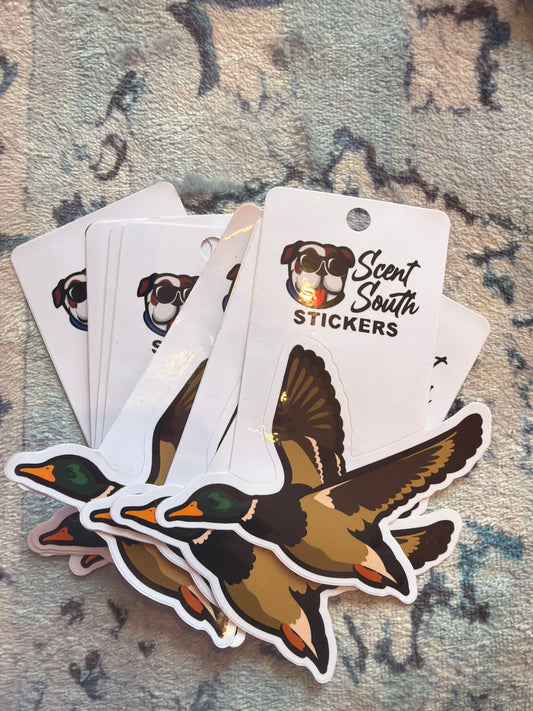 DUCK STICKER